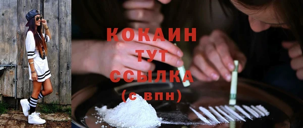 ALPHA PVP Кинешма