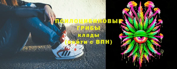 ALPHA PVP Кинешма